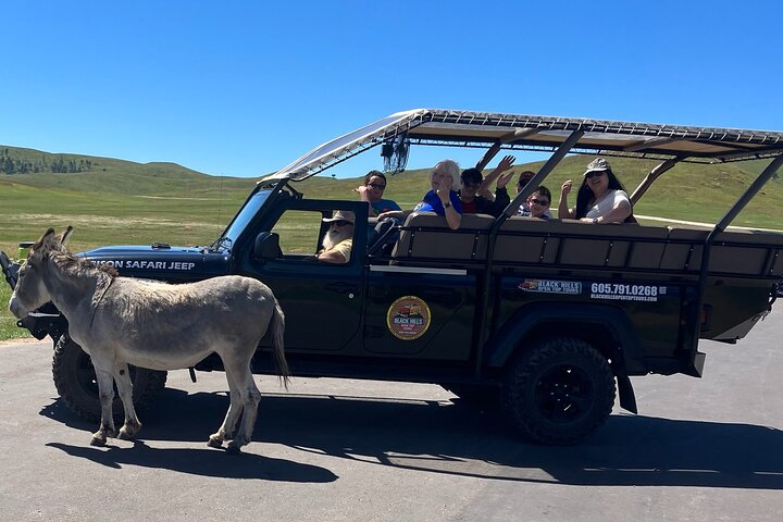 JEEP Bison Safari - Public - Half Day Tour  - Photo 1 of 25